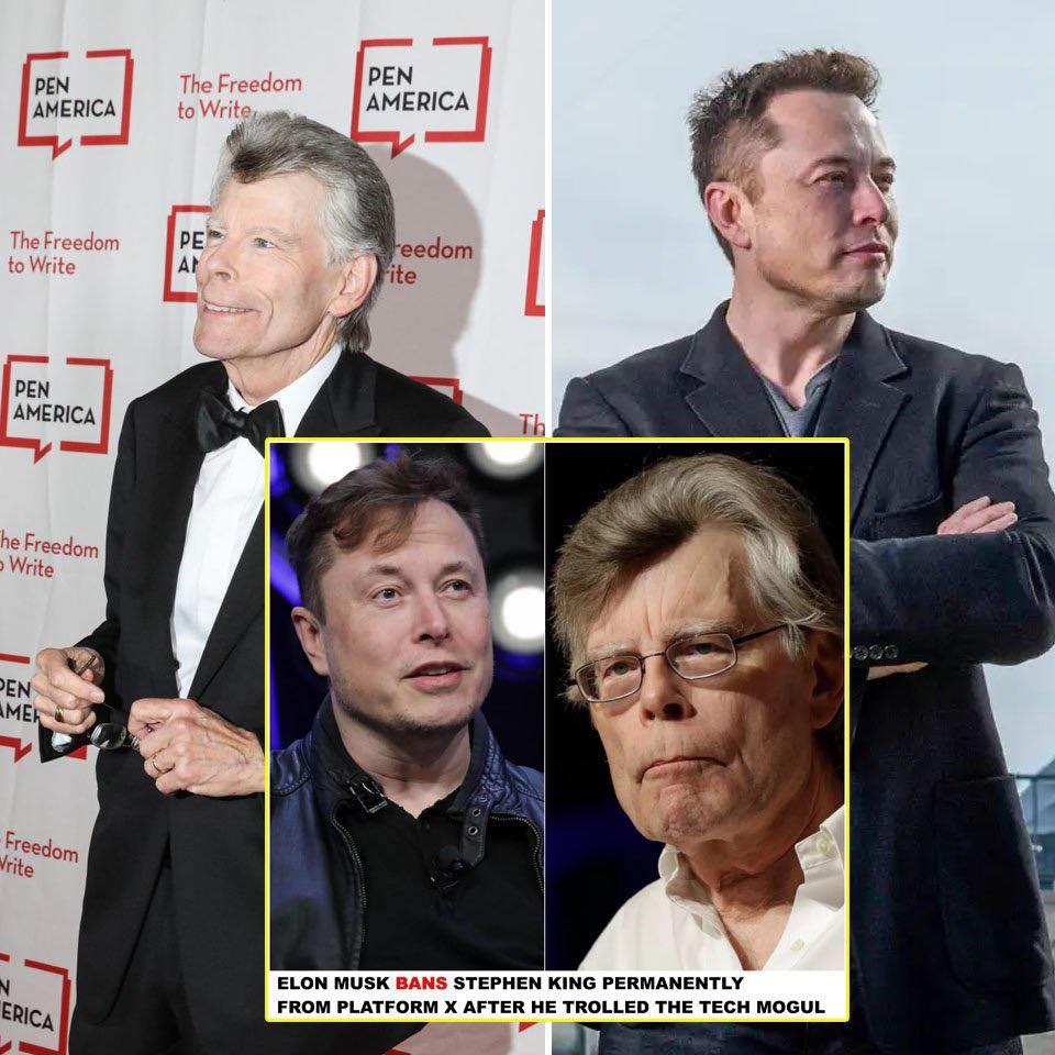 Elon Musk Bans Stephen King Permanently From Platform X After He Trolled the Tech Mogul